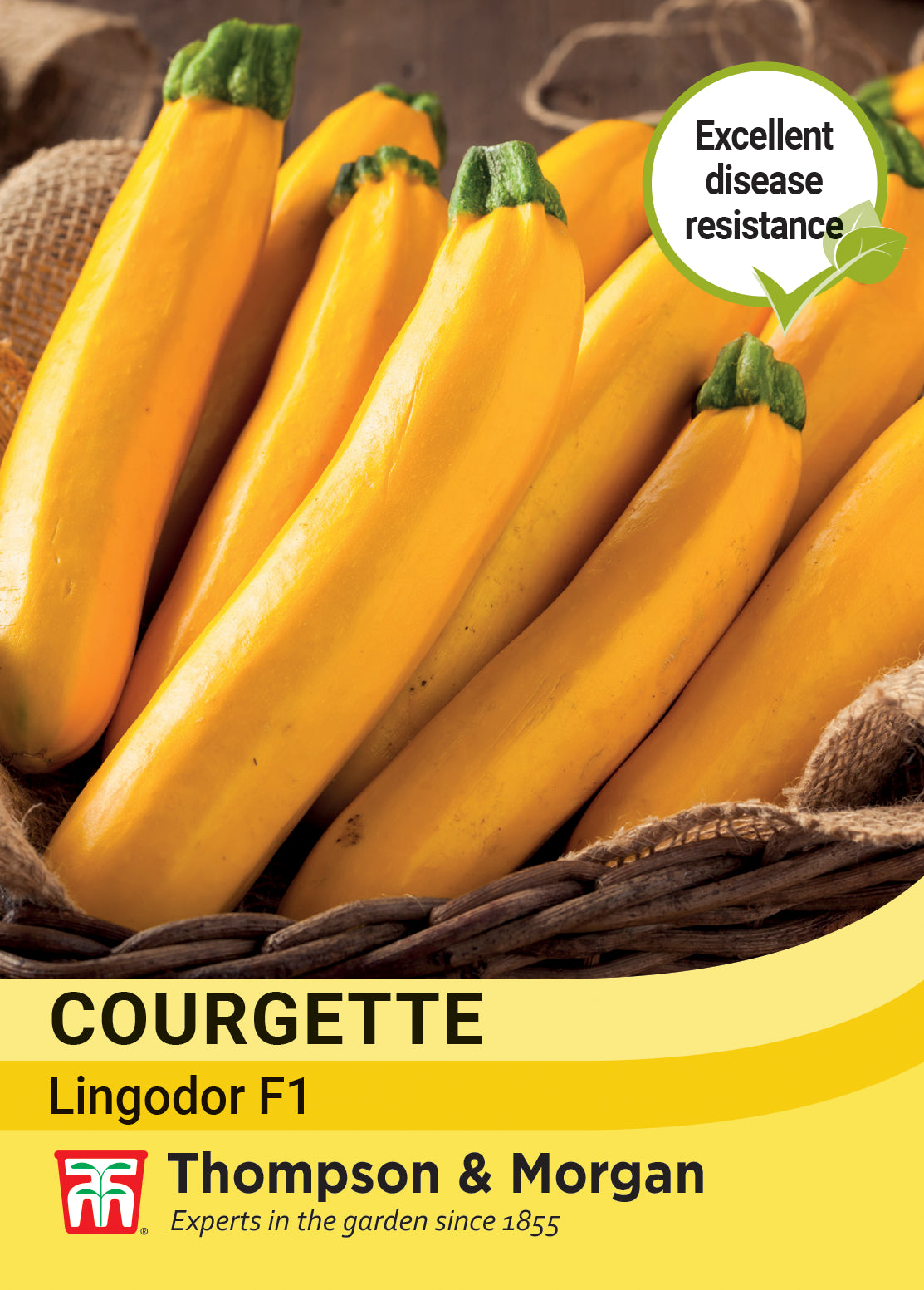 Thompson & Morgan Vegetable Courgette Lingodor F1 - 4 Seeds
