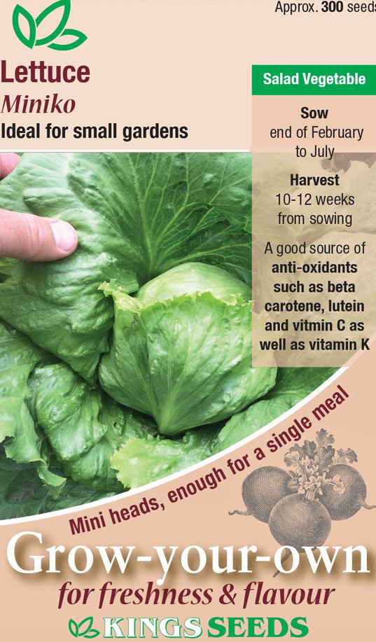 Kings Seeds Lettuce Miniko Seeds