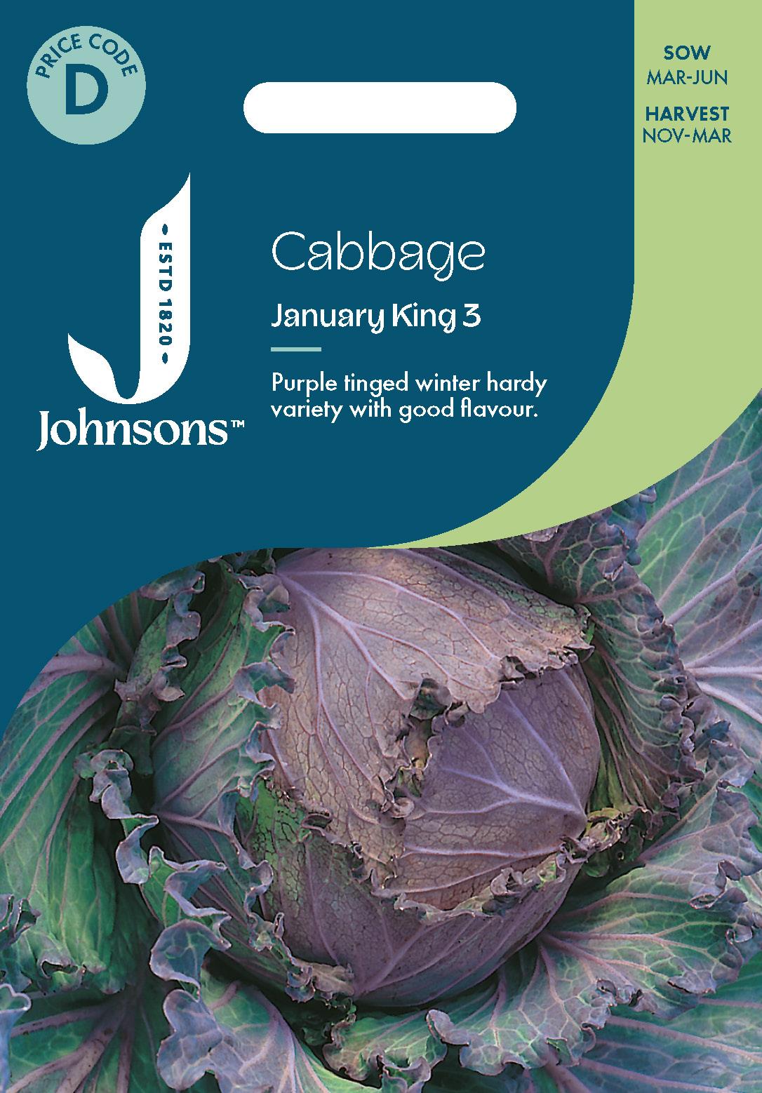 Johnsons - Cabbage January King 3 - 350 Seeds