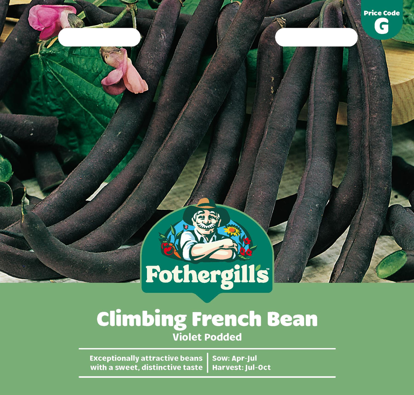 Fothergills Climbing French Bean Violet Podded Seeds