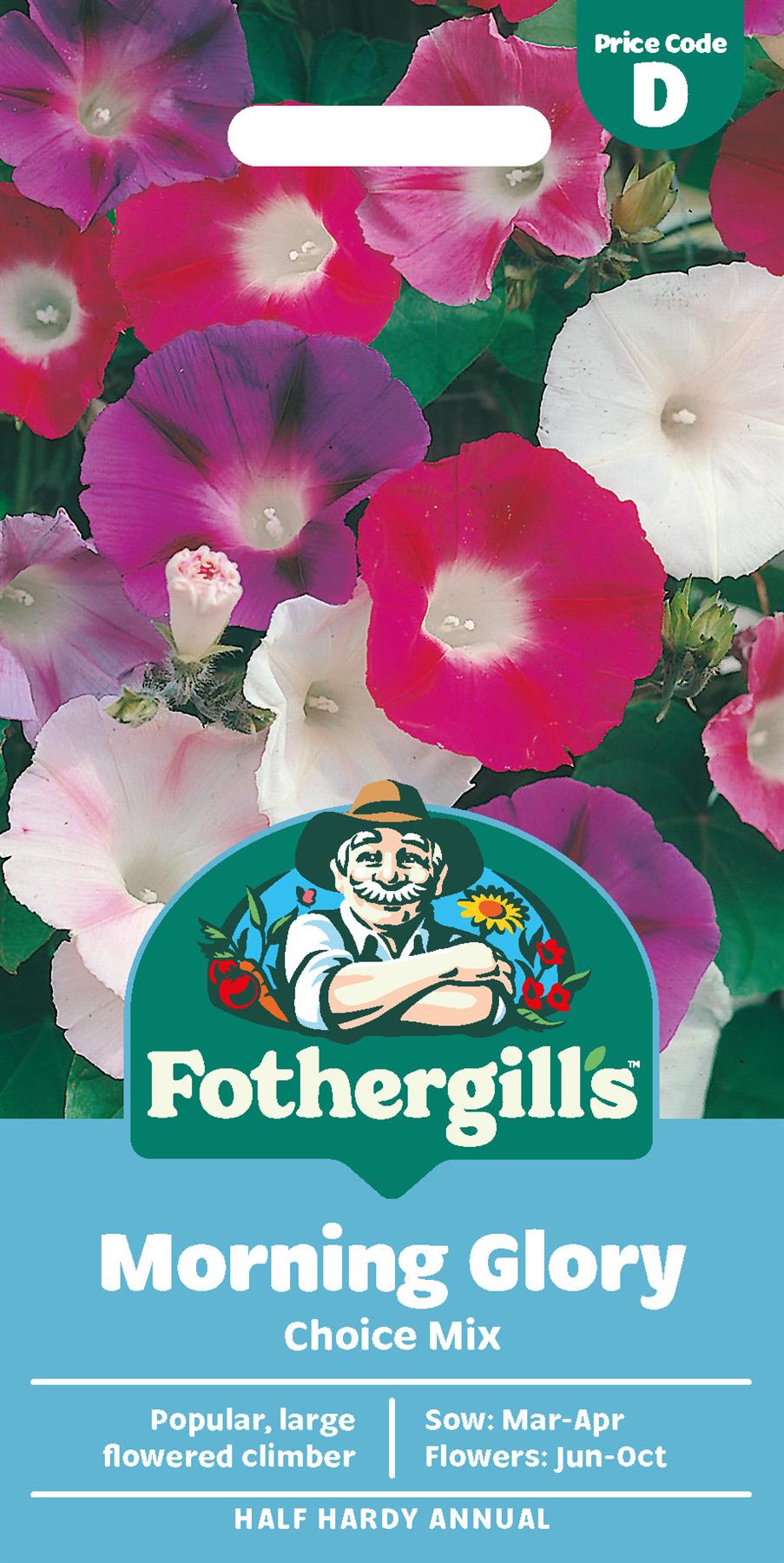 Fothergills Morning Glory Choice Mix Seeds