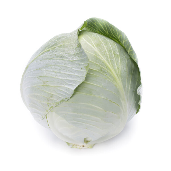 Cabbage Axioma RZ F1 (30-715) Untreated Seeds