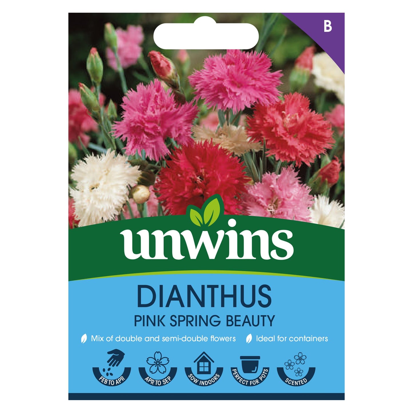 Unwins Flower Dianthus Pink Spring Beauty - 150 Seeds