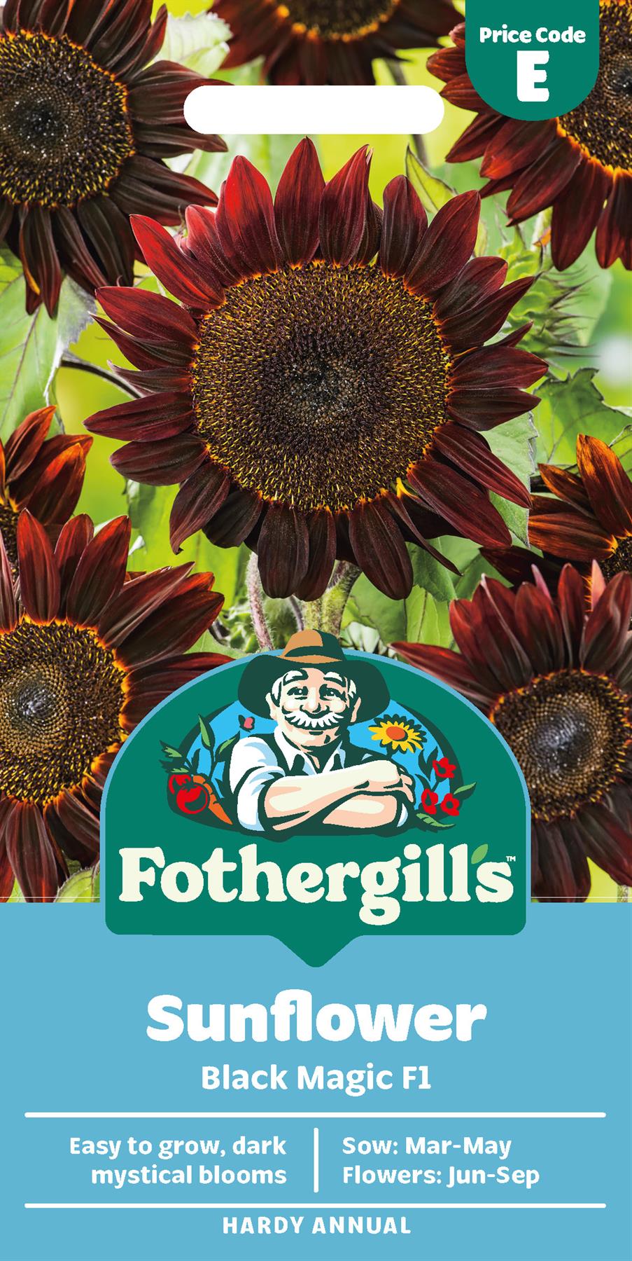 Fothergills Sunflower Black Magic F1 Seeds
