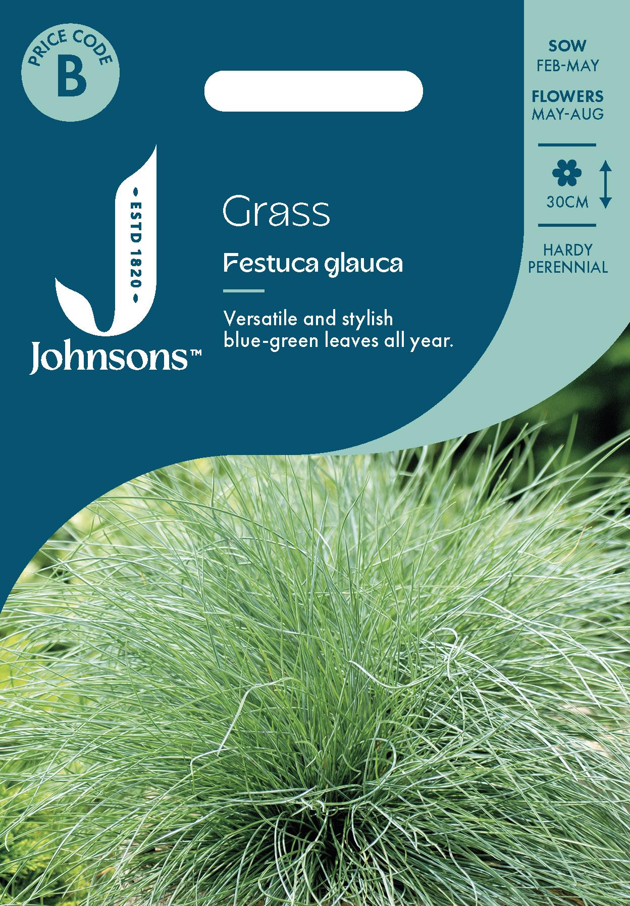 Johnsons - Grass Festuca Glauca - 100 Seeds