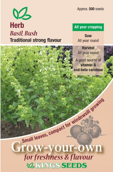 Kings Seeds Basil Bush 500 Seeds