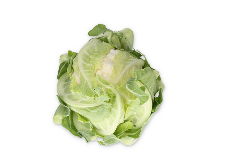 Cauliflower Bouchard RZ F1 (26-CA7118) Untreated Seeds