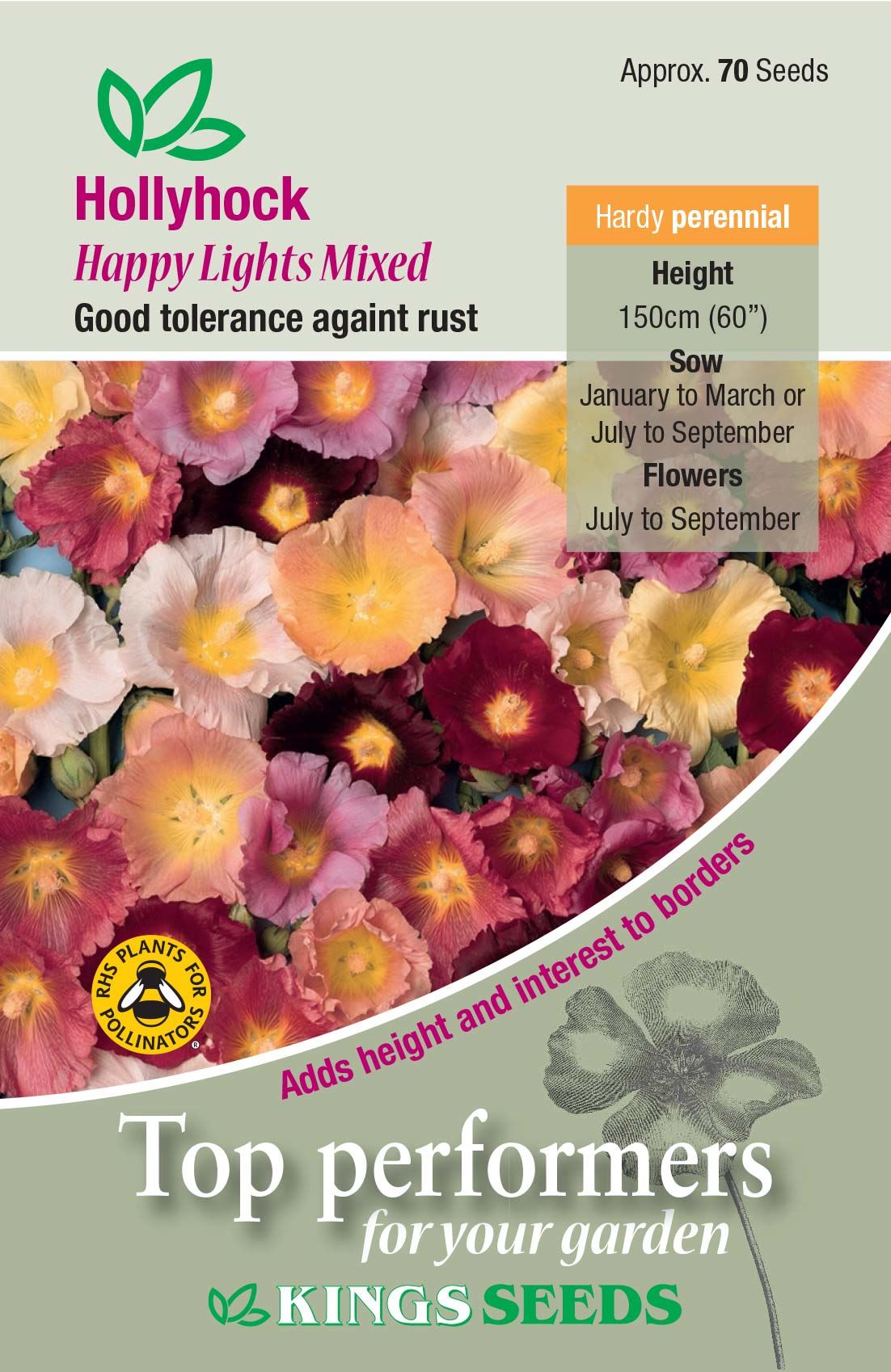 Kings Seeds Hollyhock Happy Lights Mixed Seeds