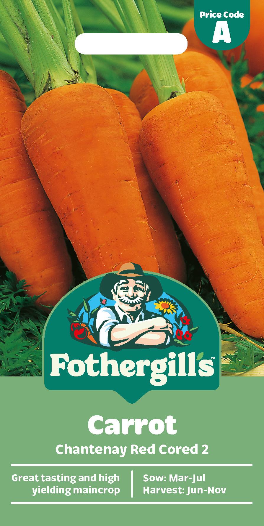 Fothergills Carrot Chantenay Red Cored 2 Seeds