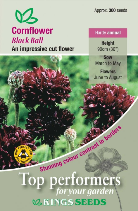Kings Seeds Cornflower Black Ball 300 Seed