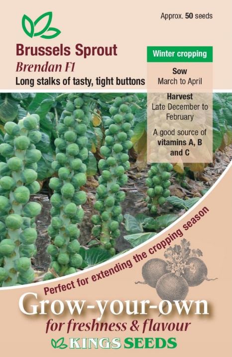 Kings Seeds Brussels Sprout Brendan F1 Seeds