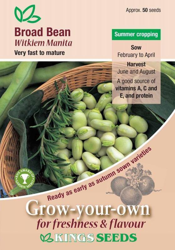 Kings Seeds Broad Bean Witkiem Manita 50 Seeds