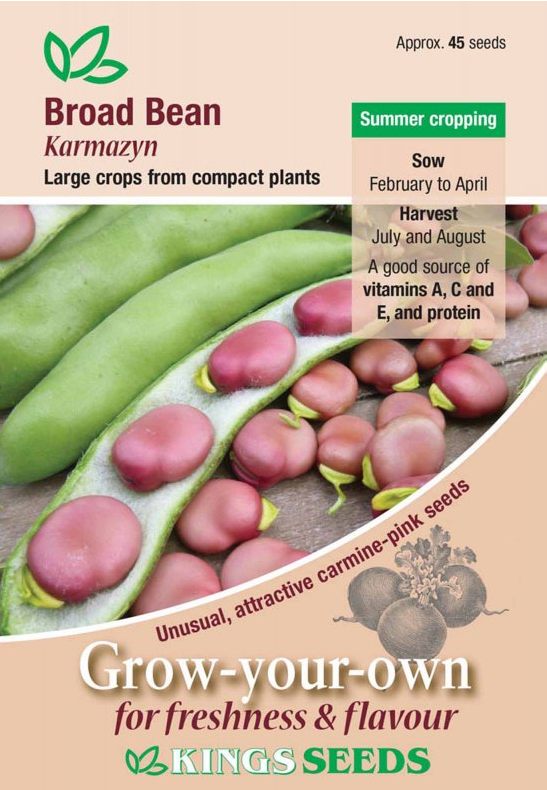 Kings Seeds Broad Bean Karmazyn 45 Seeds