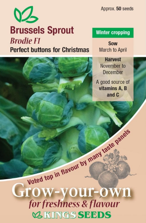 Kings Seeds Brussels Sprout Brodie F1 50 Seeds