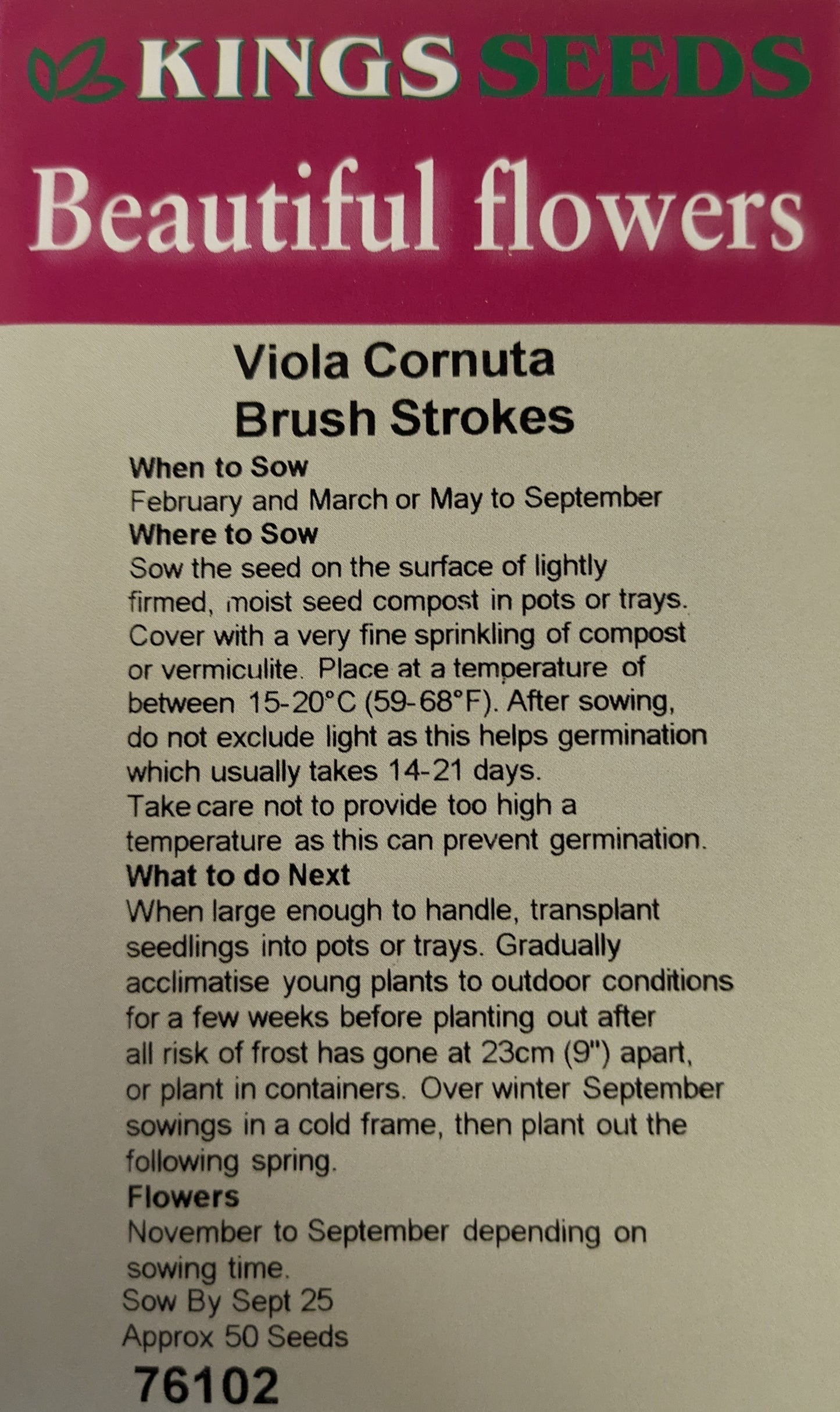 Kings Seeds Viola Brush Strokes 50 Seed