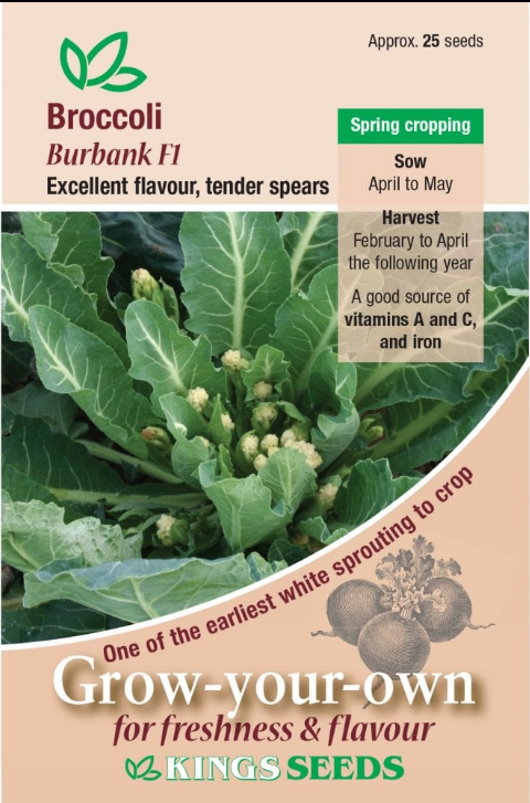 Kings Seeds Broccoli Sprouting Burbank F1 Seeds