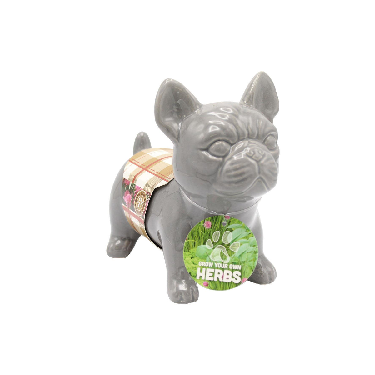 French Bulldog Grey Herb Planter Grow Kit – Bees Seeds
