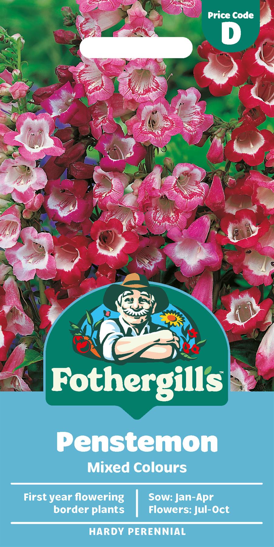 Fothergills Penstemon Mix Colours Seeds