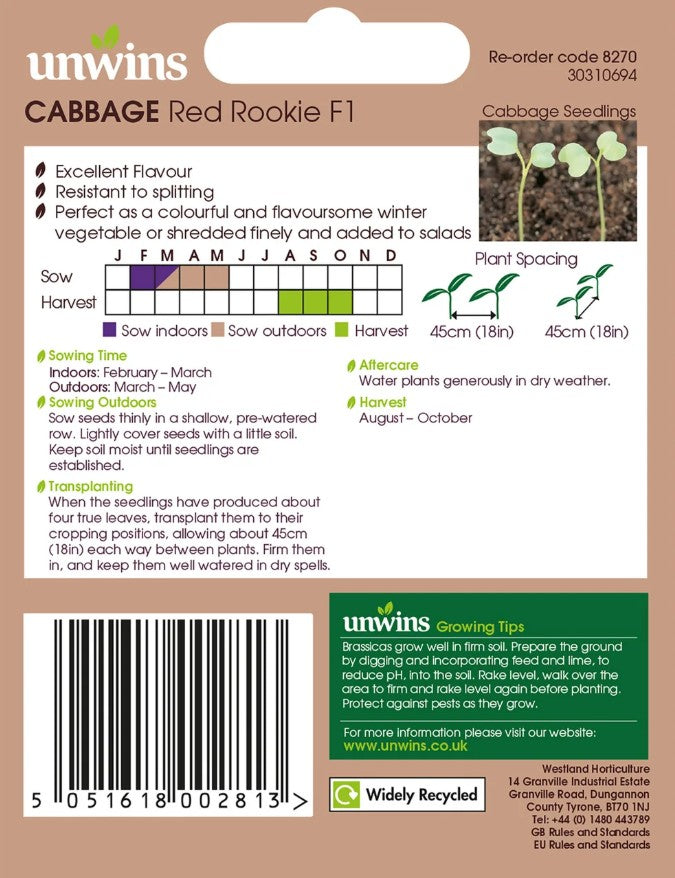 Unwins Round Cabbage Red Rookie F1 - 40 Seeds – Early Variety