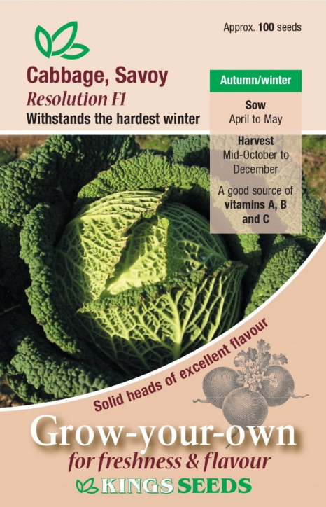 Kings Seeds Savoy Cabbage Resolution F1 Hybrid 100 Seeds