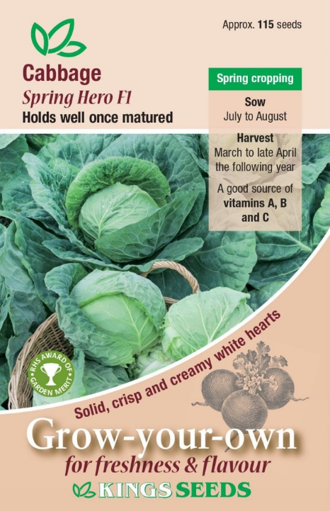 Kings Seeds Cabbage Spring Hero F1 Hybrid 115 Seeds