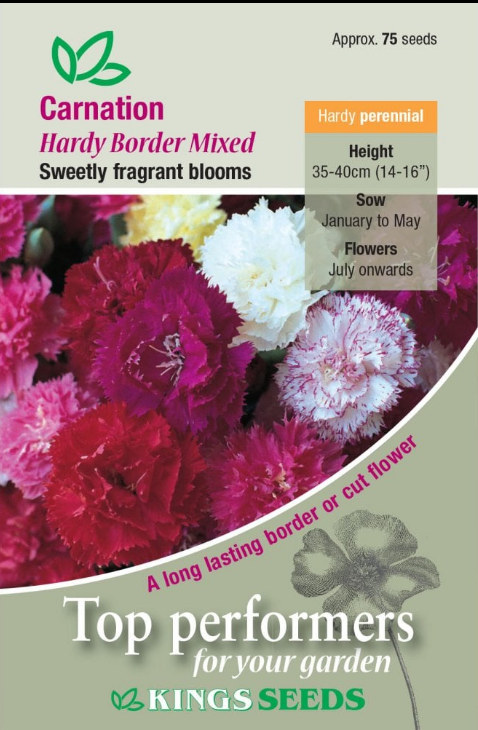 Kings Seeds Carnation Hardy Border Mix 75 Seed