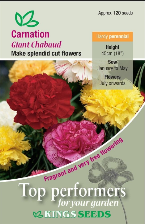 Kings Seeds Carnation Giant Chabaud 120 Seeds