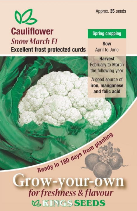 Kings Seeds Cauliflower Snow March F1 Hybrid 35 Seeds