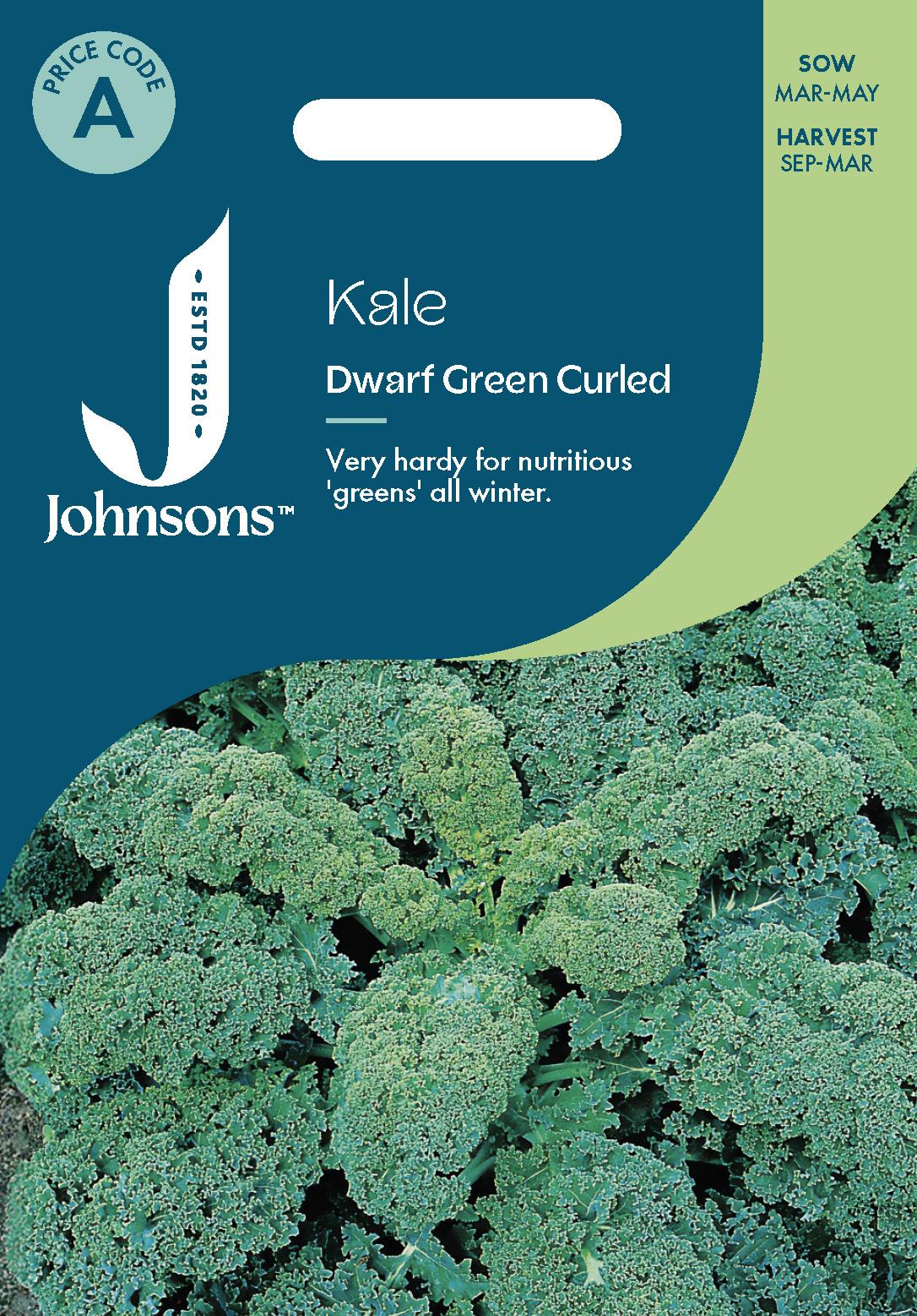 Johnsons - Kale Dwarf Green Curled - 300 Seeds