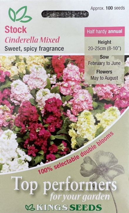 Kings Seeds Stock Cinderella Mixed 100 Seed