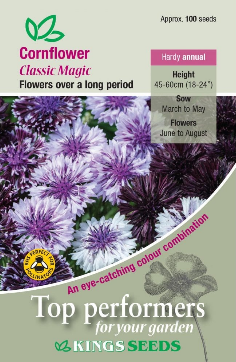 Kings Seeds Cornflower Classic Magic 100 Seed