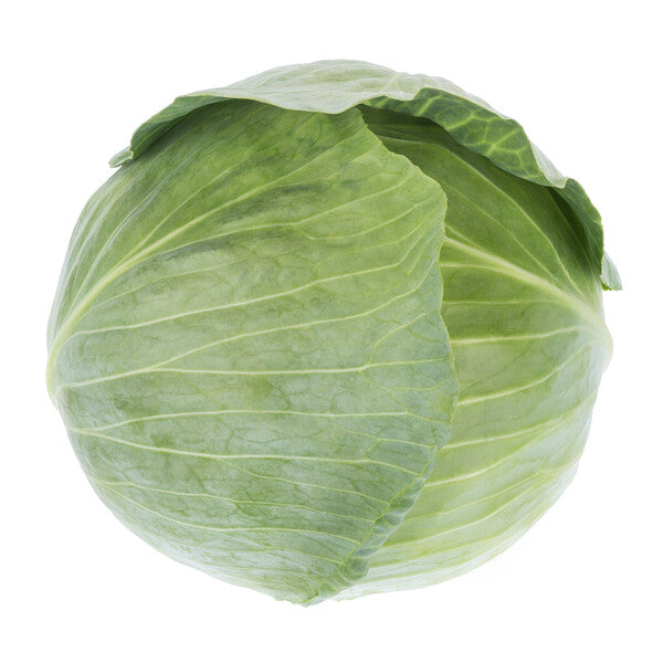 Cabbage Congama RZ F1 (30-717) Untreated Seeds