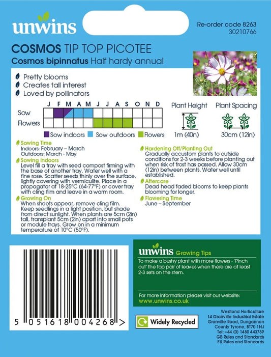 Unwins Cosmos Tip Top Picotee Seeds – White & Purple Flowers