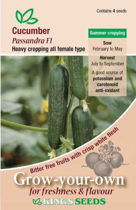 Kings Seeds Cucumber Passandra F1 Hybrid 4 Seeds