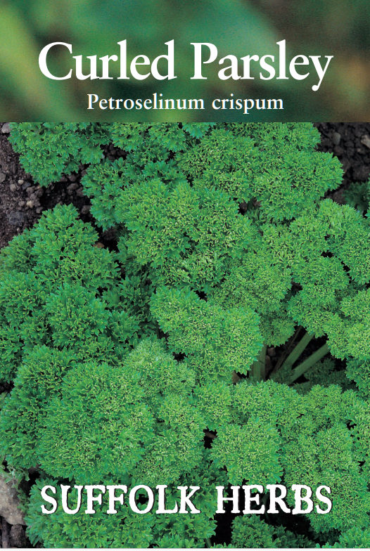 Suffolk Herbs Curled Parsley 450 Seeds