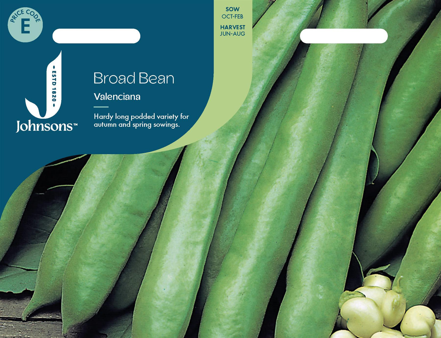 Johnsons - Broad Bean Valenciana - 45 Seeds
