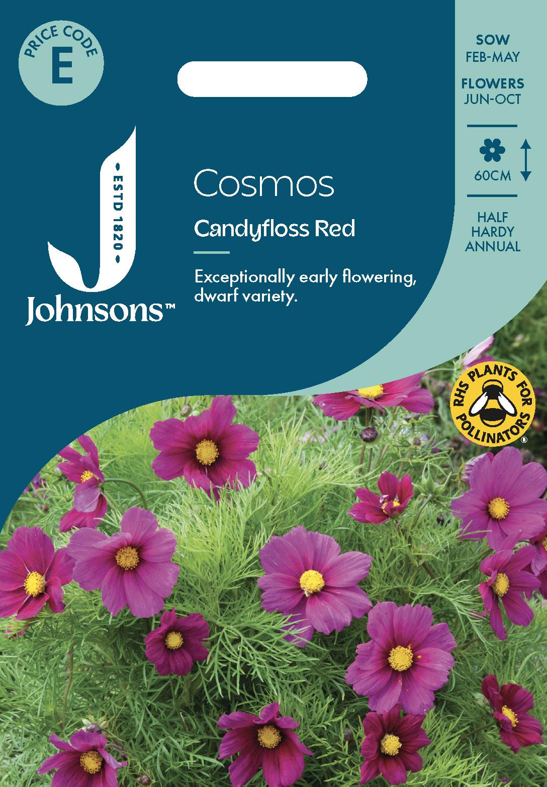 Johnsons - Cosmos Candyfloss Red - 60 Seeds