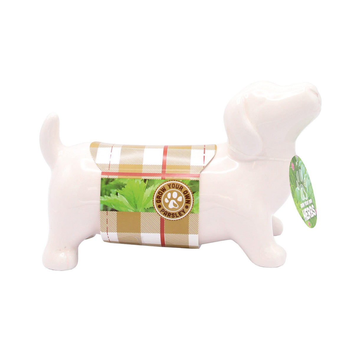 Bees Seeds - Sausage Dog - Novelty Parsley Herb Planter - Cream
