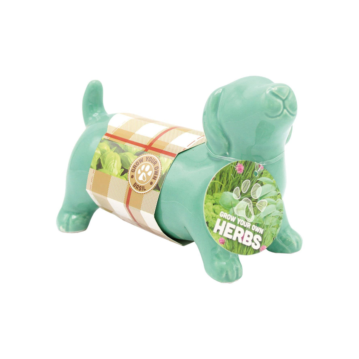 Sausage Dog Basil Herb Planter Grow Kit – Bees Seeds