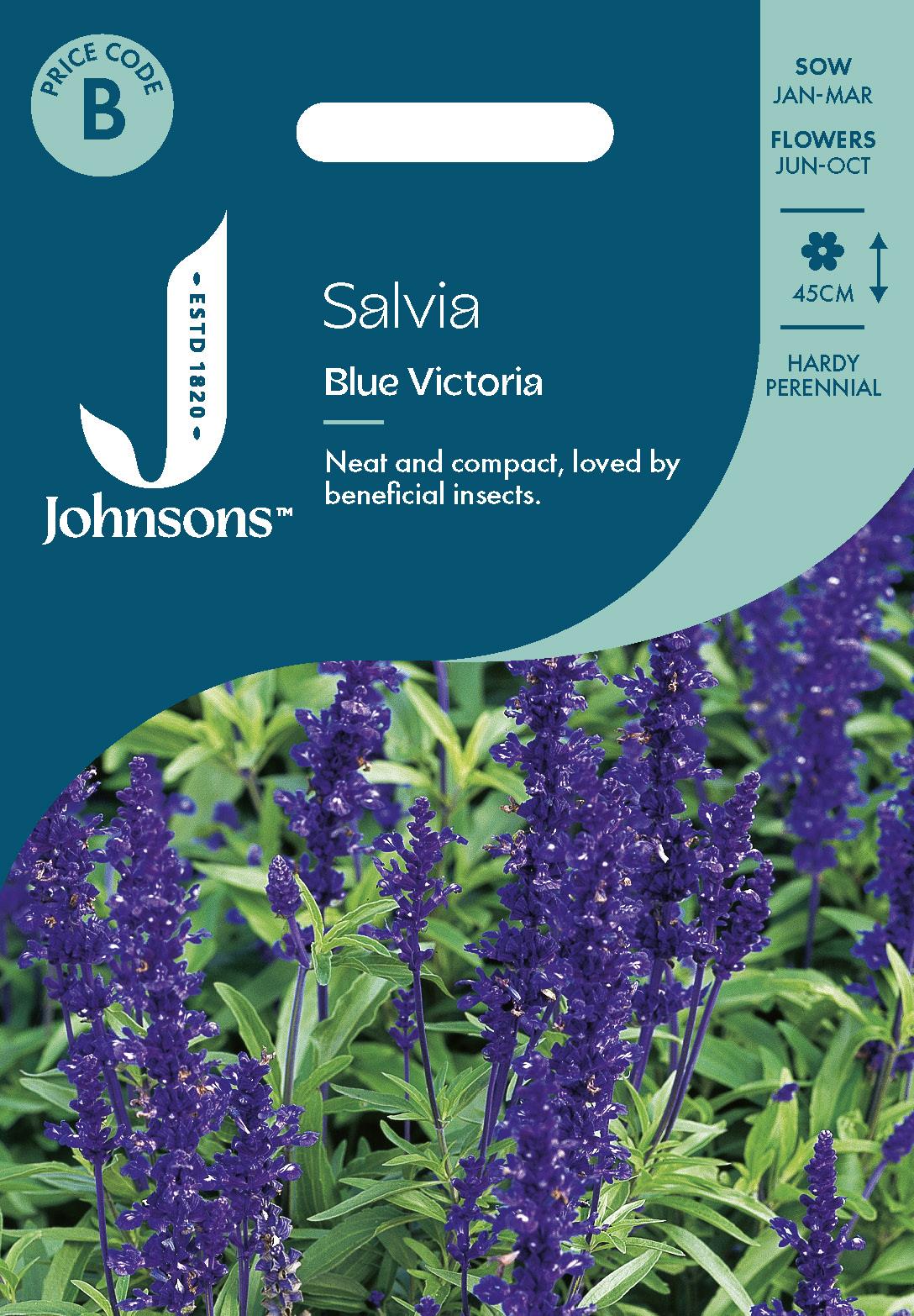 Johnsons - Salvia Blue Victoria - 250 Seeds