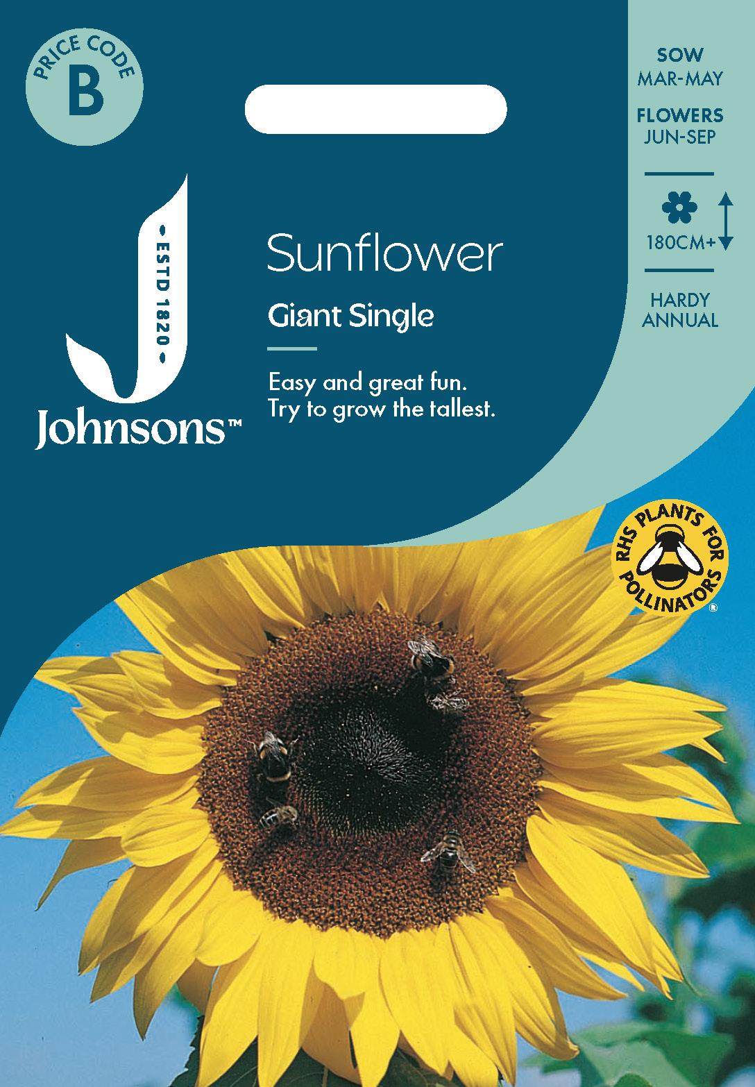 Johnsons - Sunflower Giant Single - 50 Seeds