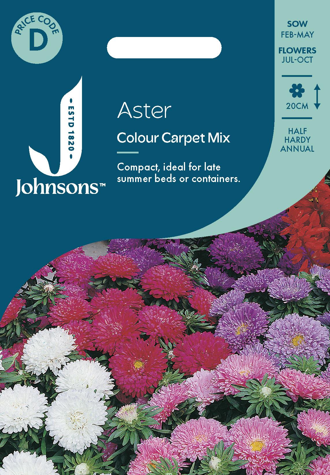 Johnsons - Aster Colour Carpet Mix - 250 Seeds