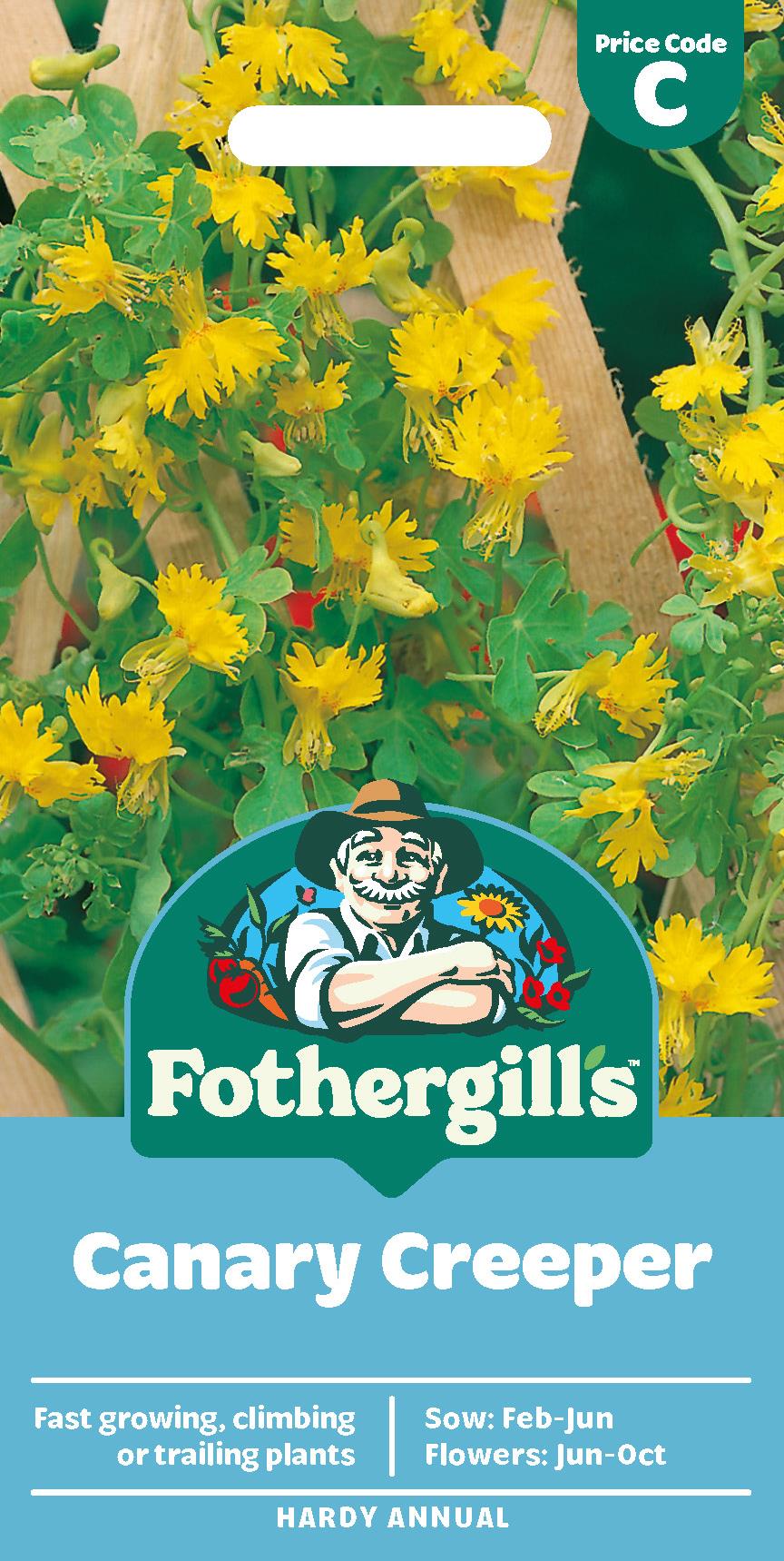 Fothergills Canary Creeper Seeds