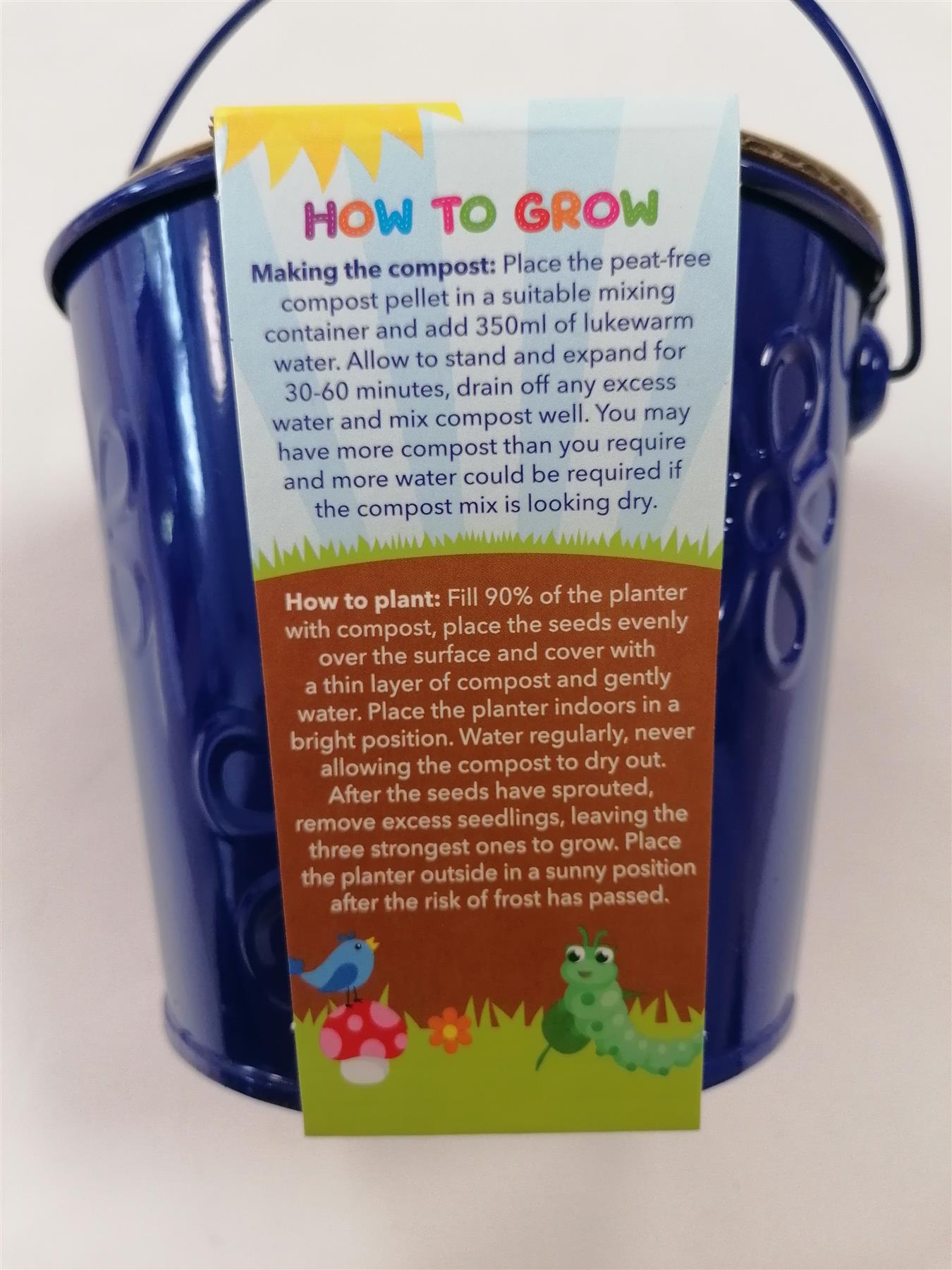 Taylors - Grow Your Own - Strawberries