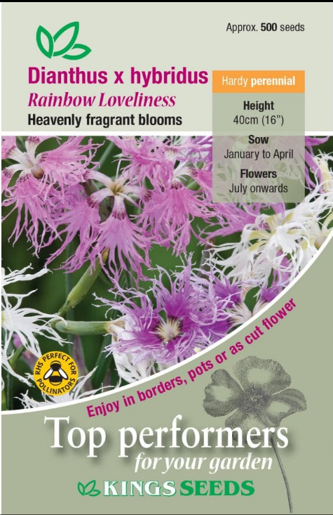 Kings Seeds Dianthus Hybridus Rainbow Loveliness Seeds