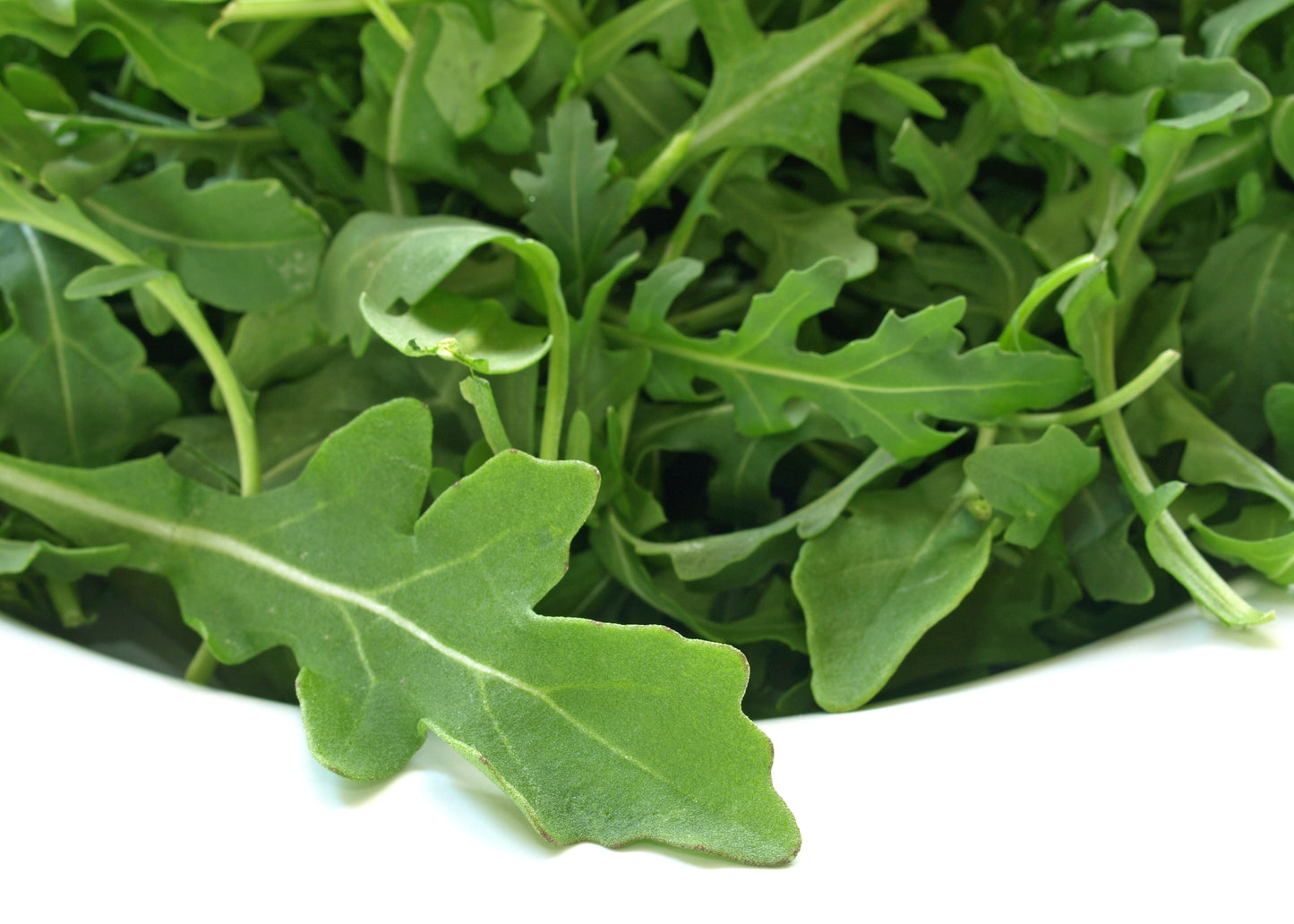 Organic Wild Rocket Seeds
