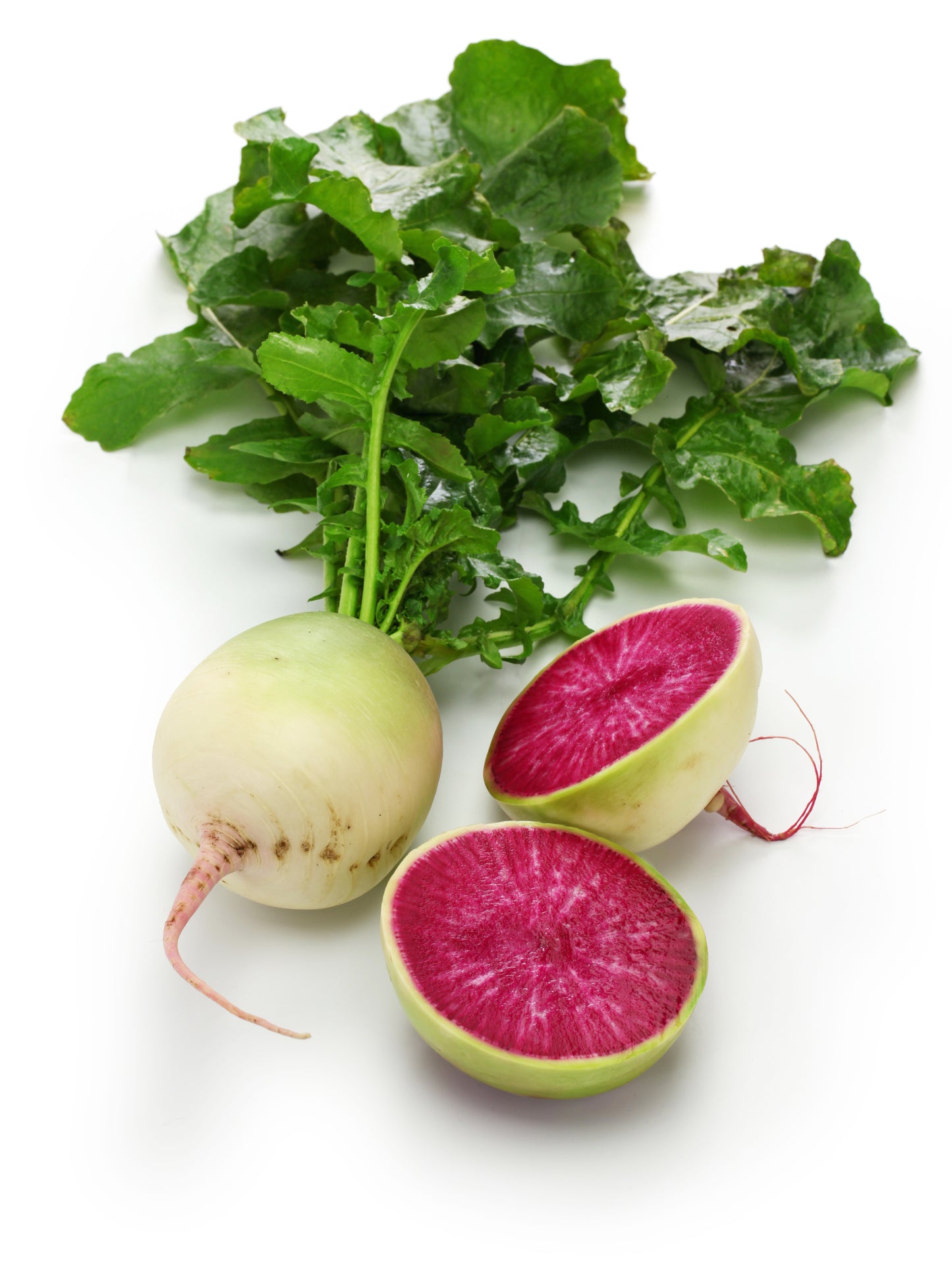 Radish Red Meat Seeds