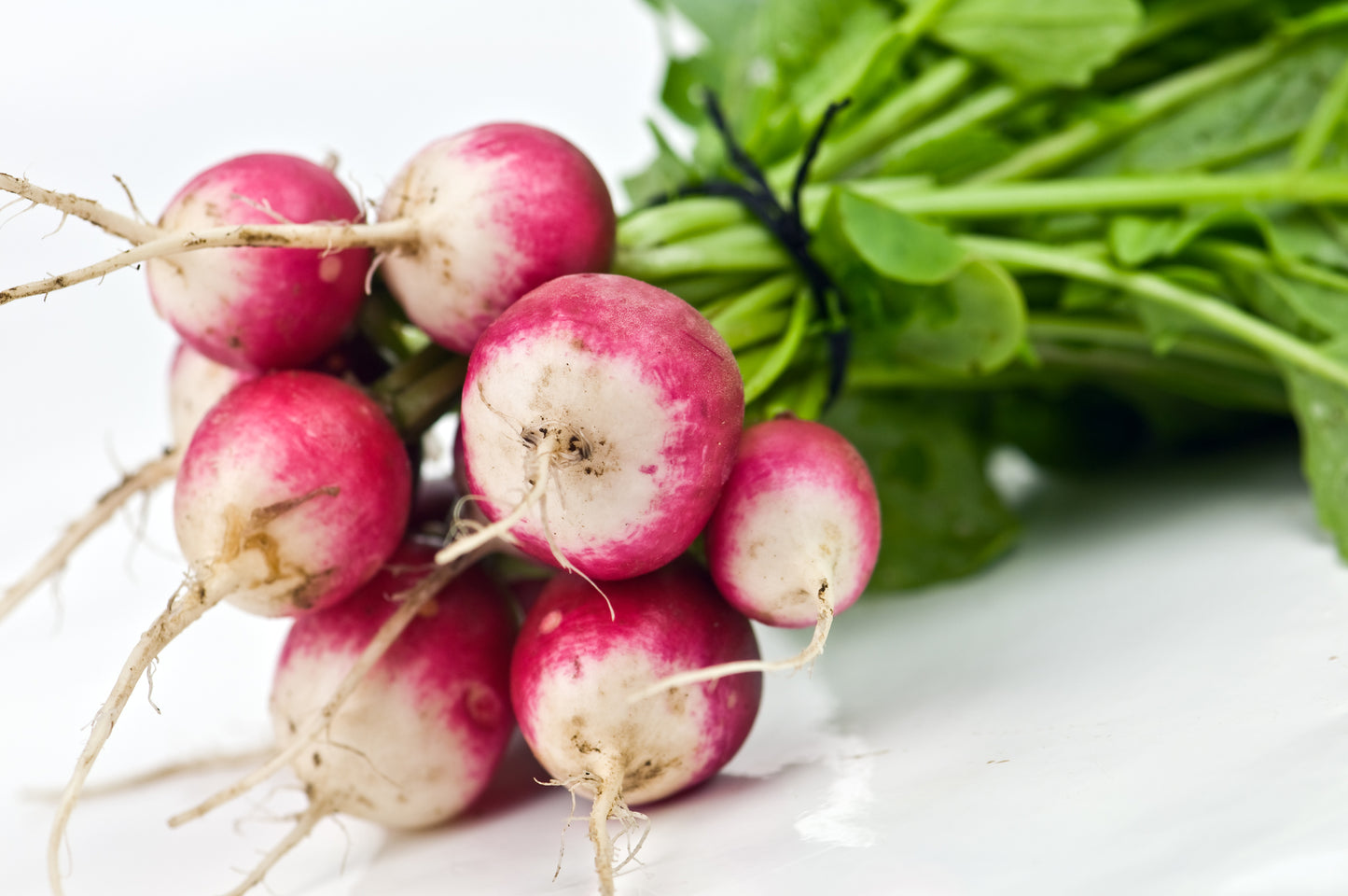 Kings Seeds Radish Poloneza 1000 Seeds