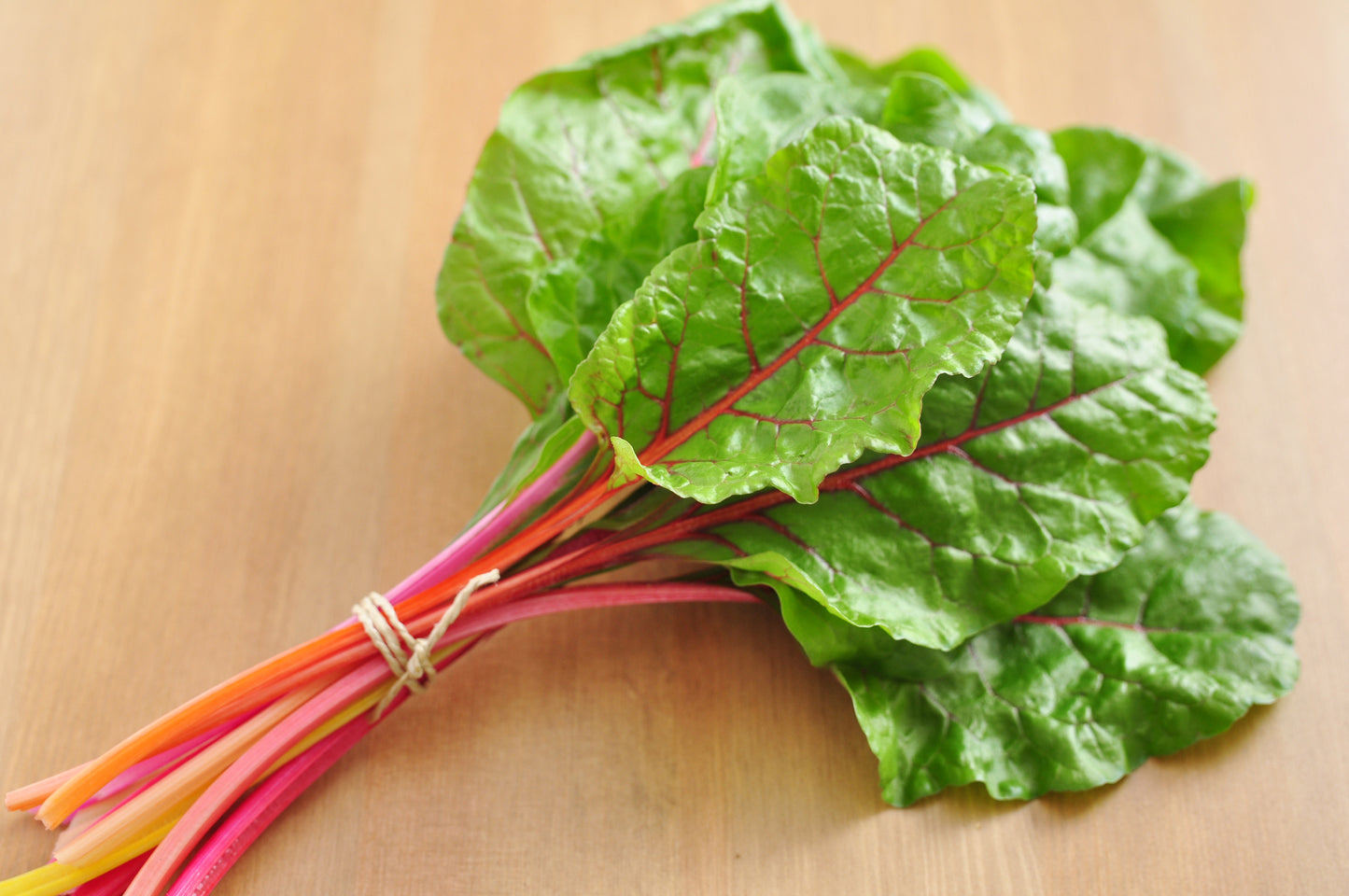 Beet Leaf Chard Bright Lights Seeds