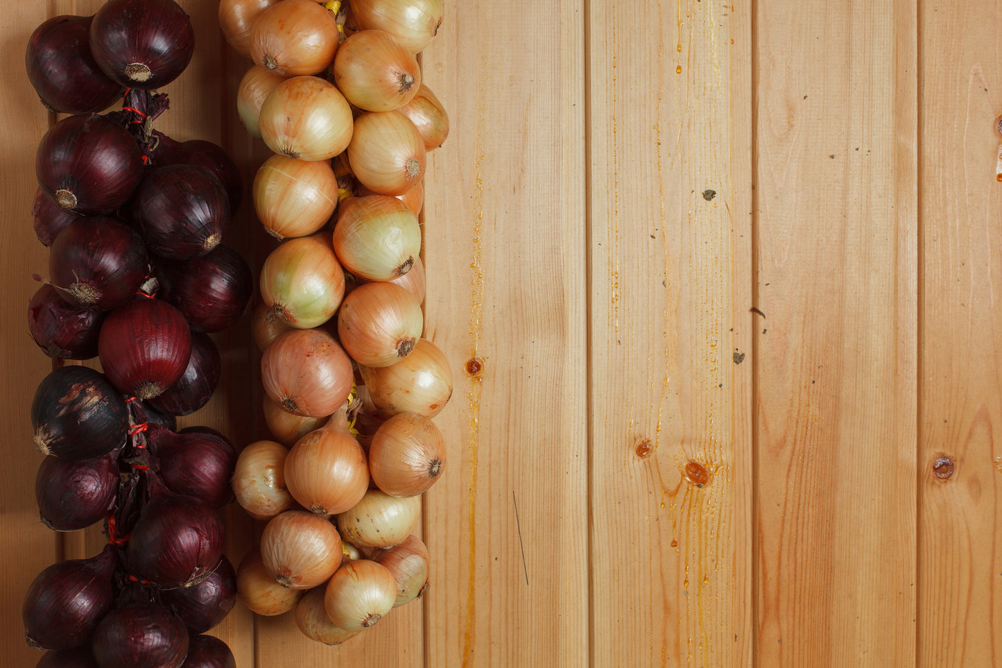 Autumn Onion Sets Autumn Champion